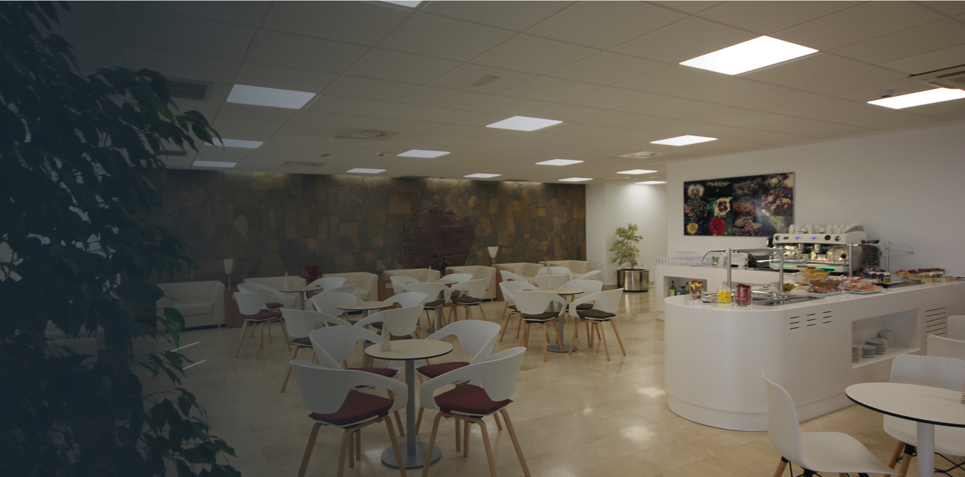 Guacimeta VIP Lounge